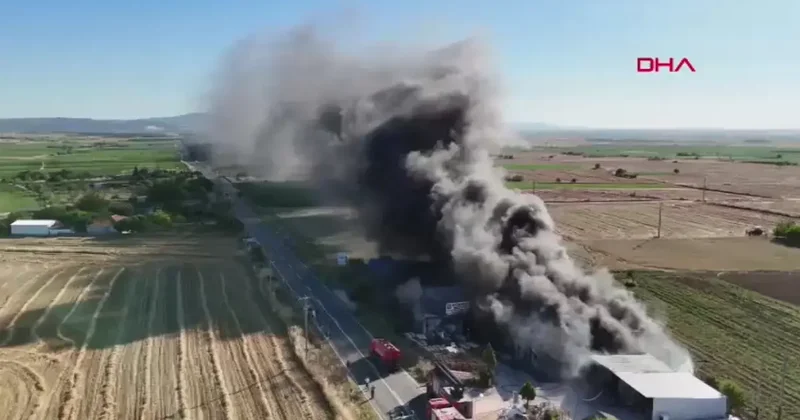 Edirne de yangın! 2 saatte kontrol altına alındı