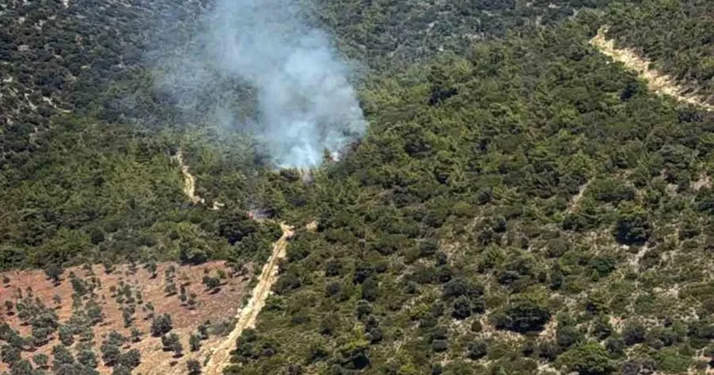 Milas Kazıklı Koyu’nda makilik alanda yangın çıktı