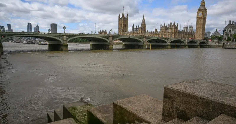 Thames Nehri nin rengi kahverengiye büründü