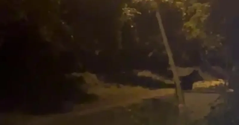 Köye inen ayı köylülere heyecan ve korku yaşattı