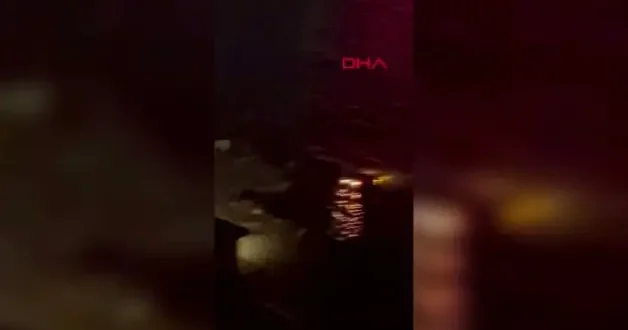Fren yerine gaza basınca denize uçtu: Köprü manzarasına karşı battı