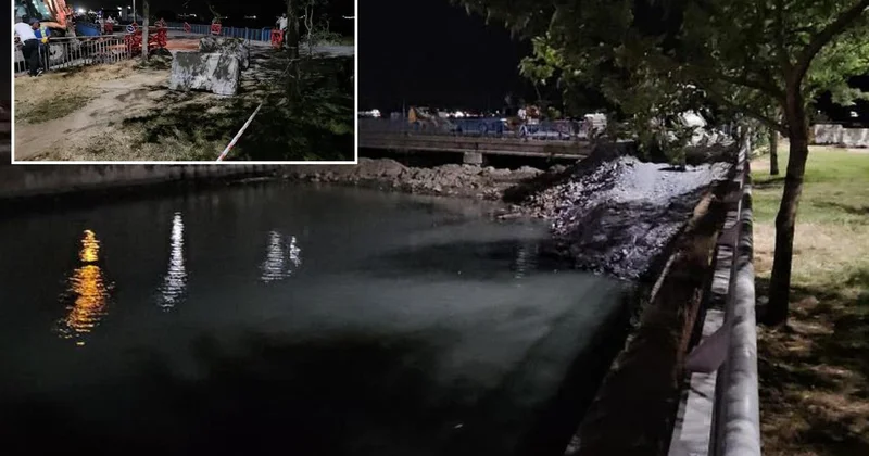 Bakırköy de derede yüzlerce ölü balık