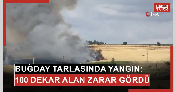 (TEKİRDAĞ) Buğday tarlasında yangın: 100 dekar alan zarar gördü
