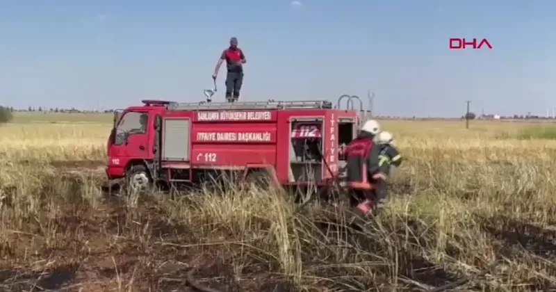 Anız yangını soruşturması! 14 kişiye gözaltı