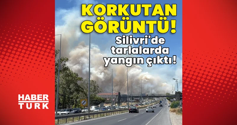 Son dakika haberi: Silivri de tarlalarda yangın çıktı!