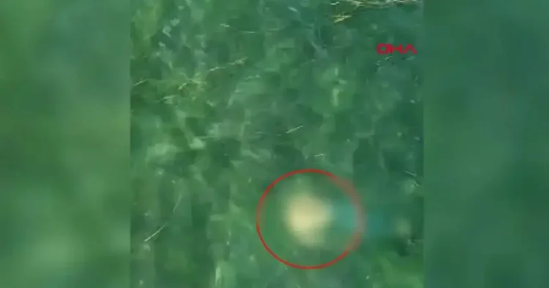 Dron sayesinde ölümden döndü: Boğulan vatandaş böyle kurtarıldı!