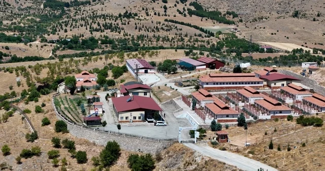 Geçici Hayvan Bakımevi ve Rehabilitasyon Merkezi nde 15 bin sokak hayvanı tedavi edildi Elazığ Haberleri Habertürk Yerel Haberler