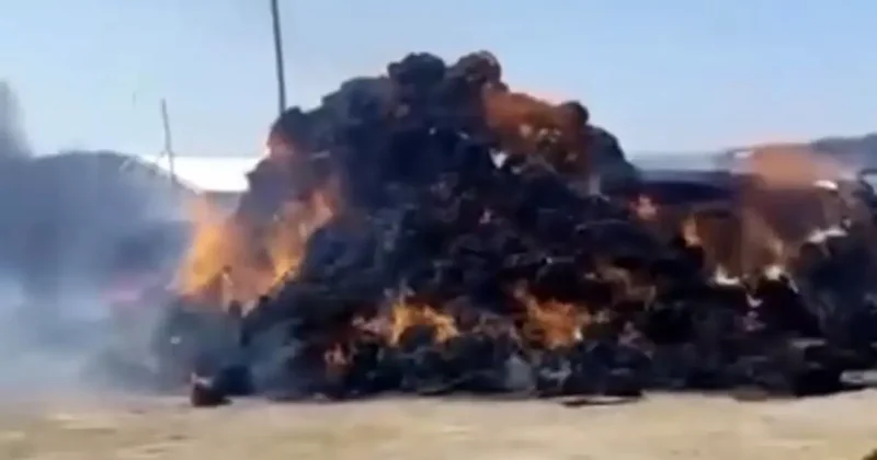 Iğdır’da ot balyaları alevlere teslim oldu