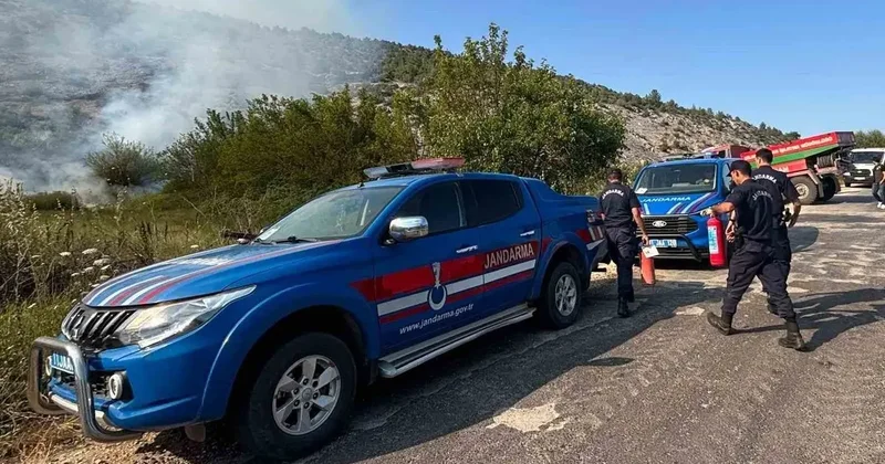 Elektrik direğinden çıkan kıvılcım orman yangınına sebep oldu
