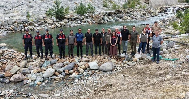 Murgul Derelerine 30 Bin Alabalık Yavrusu Bırakıldı