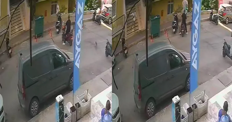 Bunun adı: Canilik! Görüntülere tepki yağdı: Kediyi yerden alıp fırlattı...
