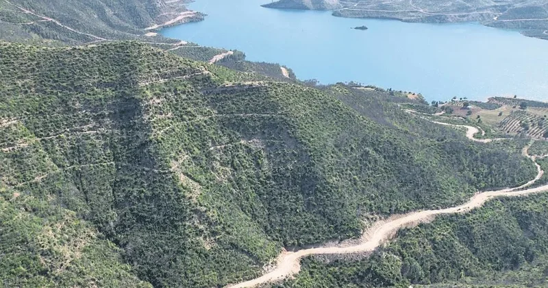 Manavgat 5 yılda yeşile büründü