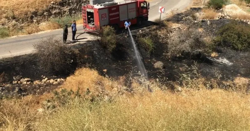 Fıstık tarlasındaki yangına müdahale ederken hayatını kaybetti