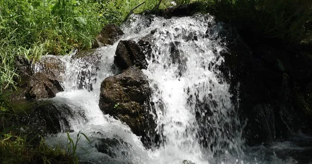 Dağların arasında 3 asırlık yaşam pınarı; saniyede 120 litre akıyor Trabzon Haberleri Habertürk Yerel Haberler