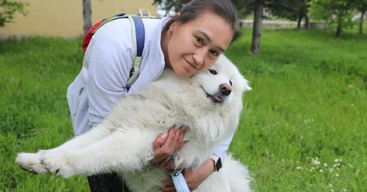 Trafik kazasında ölen Gofret için tazminat kararı! Köpeğimi kaybettim ama mücadelem sonuç verdi
