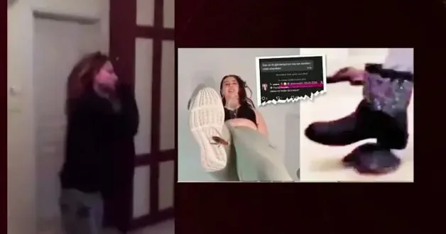 Kaplumbağa cinayetinin arkasından karanlık ağ çıktı: 2 bin 500 TL’ye katliam