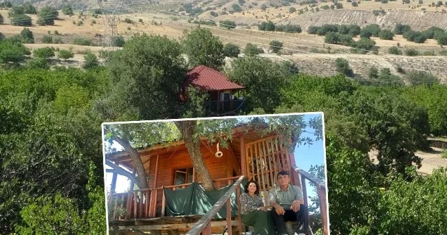 150 yıllık ağacın üzerine yaptı: Bir daire fiyatına mal oldu! Karadeniz den bir arkadaşım geldi, tavsiye etti