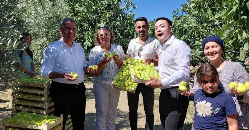 Çinli fenomen çift Aydın incirine hayran kaldı