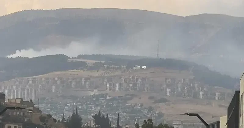 Kahramanmaraş ta orman yangını