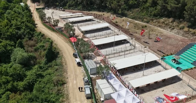 Bursa Hayvan Hakları Platformu ndan Gemlik Belediyesi ne tepki: Kapıları açın Hayvanseverlerden Gemlik Belediyesi ne tepki Bursa Haberleri Habertürk Yerel Haberler