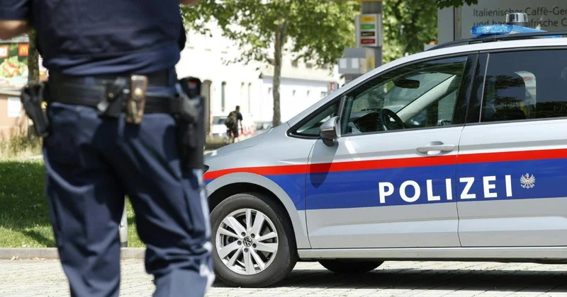 Mısır kraliyetine ait elmas kolye Viyana daki müzeden çalındı