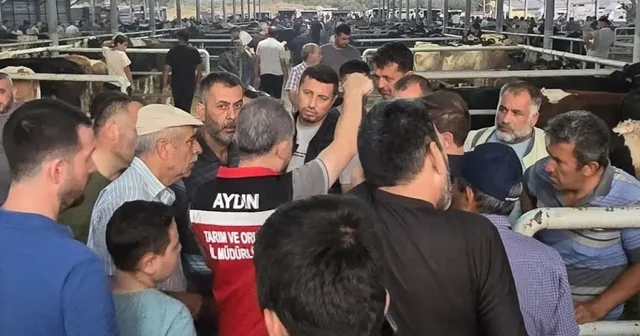 Aydın da hayvan pazarlarında sıkı denetim Küpesiz hayvanlara geçit yok Aydın Haberleri Habertürk Yerel Haberler