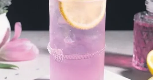 İDİL AÇIKALIN Limonatayı böyle deneyin