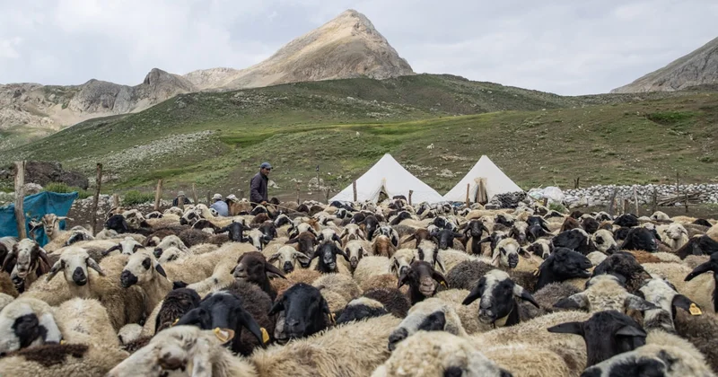 Tunceli de köylüler gece boyunca nöbet tutuyor: İşte nedeni Sözcü Gazetesi