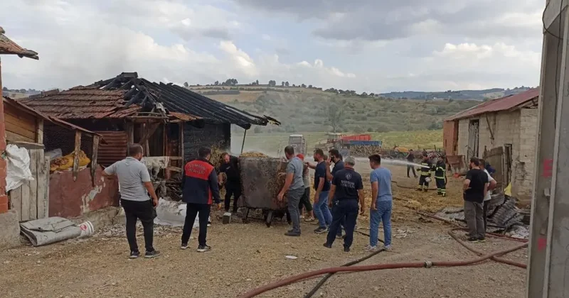 Samsun da ambarda yangın: 7 ton buğday küle döndü