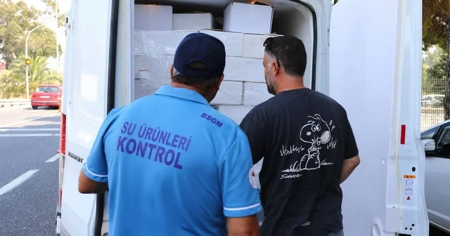 Muğla da gıda güvenliği için sıkı denetim Kaçak su ürünleri ve uygunsuz sevkiyata geçit yok Muğla Haberleri Habertürk Yerel Haberler