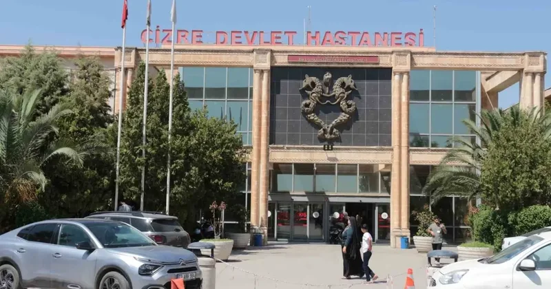 Cizre’de arazi kavgası: Sokakta başladı, hastanede devam etti