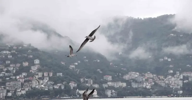 Ordu’da görsel şölen