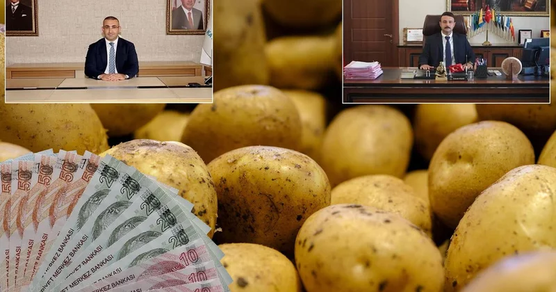 İlçeyi karıştıran Patates krizi! Müdür tutuklandı, kaymakam ve başsavcının görev yeri değişti
