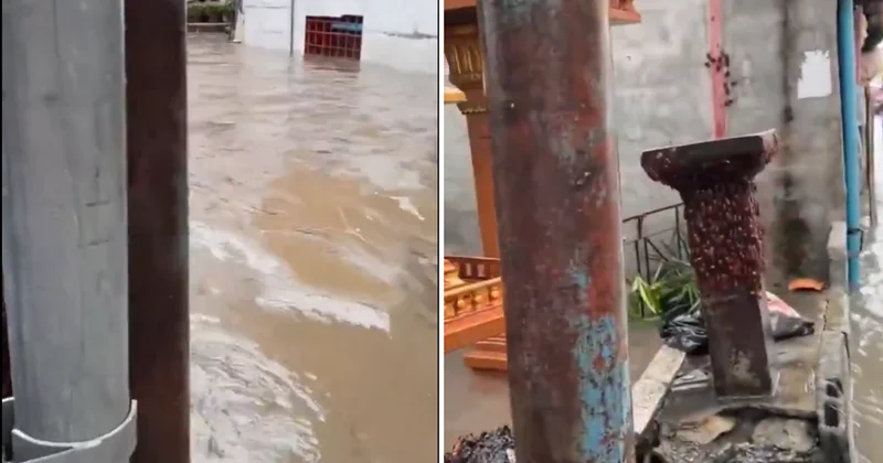 Tayland da kabus görüntüleri: Sel suları binlerce hamam böceğinin sokağa döktü