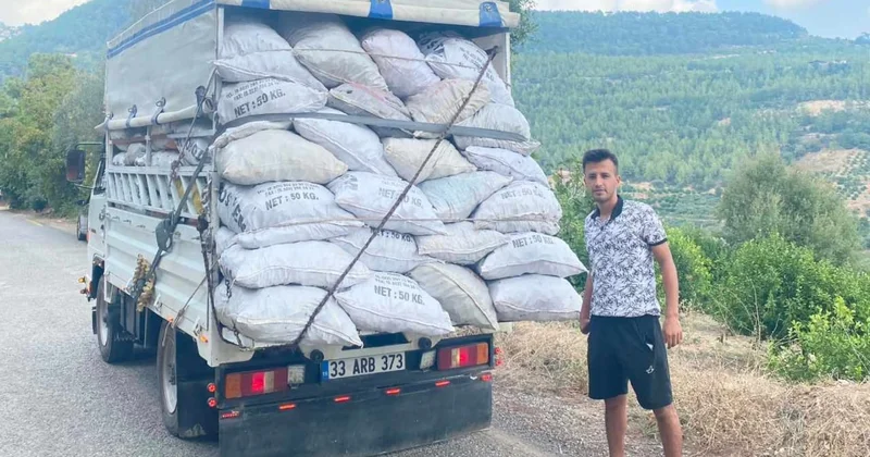 Yüz güldüren hasat başladı: Kamyon kamyon ürün 81 ile yola çıktı Sözcü Gazetesi