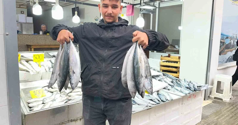 Balık sezonu Sinop ta fiyatları düşürdü: Palamut 50 liraya kadar indi
