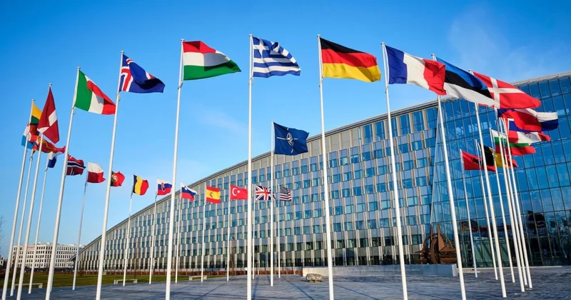 NATO üyesi ülke ittifak için savaşmayız deyince tokat gibi cevap komşusundan geldi Sözcü Gazetesi