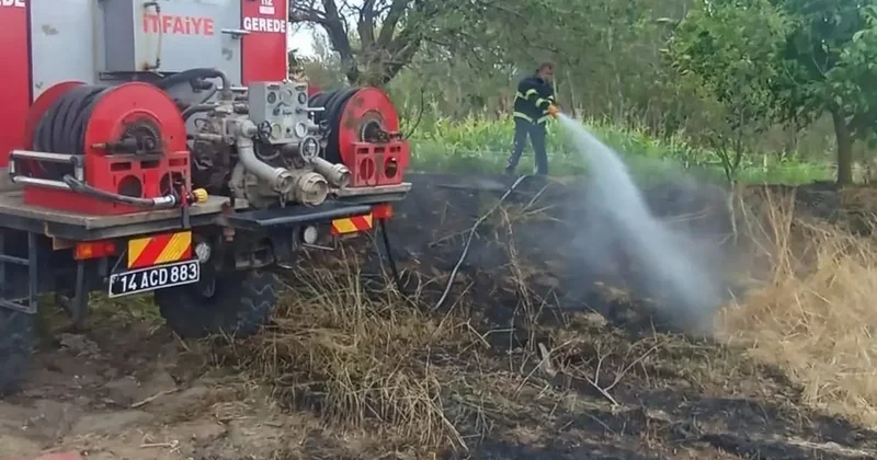 Bolu’da elektrik tellerine çarpan kuş yangına sebep oldu