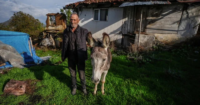 Sındırgı da eşeği Kadife yi enkazdan kurtaran sahibi duygusal anlar yaşadı Balıkesir Haberleri