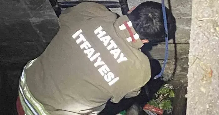 Su dolu kuyuya düşen 2 köpeği itfaiye kurtardı