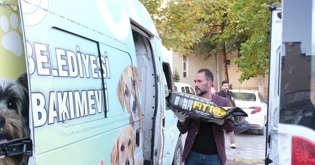 Sorgun da atık yağlarla köpek maması alınıyor Yozgat Haberleri