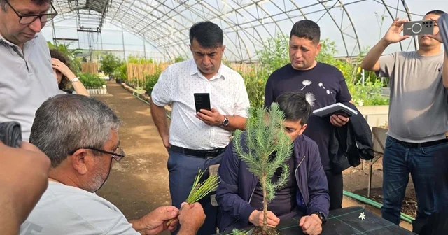 Muğla da Özbek ormancılardan teknik inceleme Muğla Haberleri
