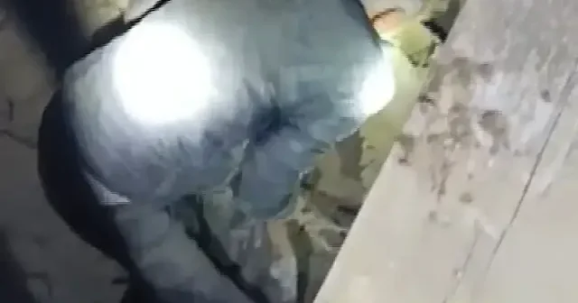 Sındırgı daki 6.1 lik depremde bir vatandaşın enkaz altında kalan eşeğini kurtarma anları kamerada VİDEO İZLE