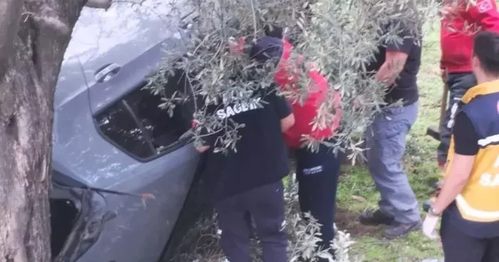 Kontrolü kaybetti zeytin bahçesine uçtu: 2 yaralı