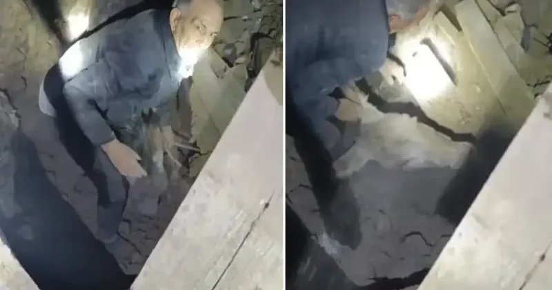 Sındırgı’da enkaz altında kalan eşek depremden sağ kurtuldu Balıkesir Haberleri