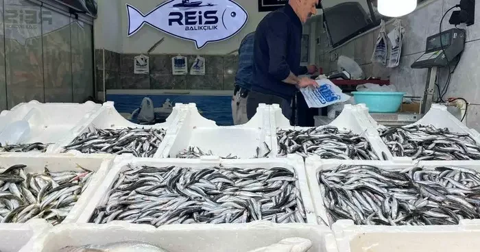 Bayburt’ta balıklar tezgâhlarda yerini aldı