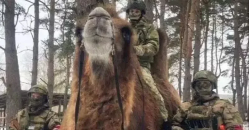 Ukrayna güçleri, Rus ordusunun devesini ele geçirdi Sözcü Gazetesi
