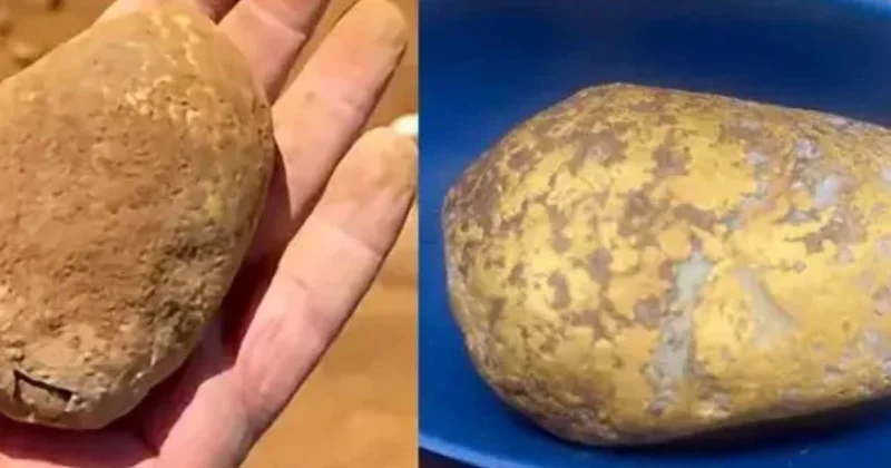 Çürük patates sandı servet çıktı: Değeri tam 10 milyon lira Sözcü Gazetesi