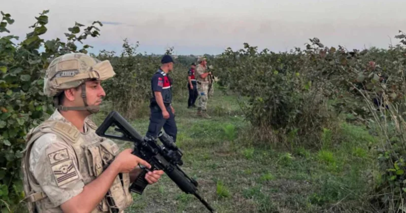 İzinle ekildi jandarma hasat etti: Boyu 4 metreye ulaştı, çöpü bile para ediyor Sözcü Gazetesi