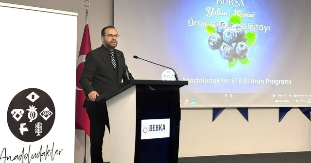 Bursa nın yaban mersini için yol haritası paydaşlarla çiziliyor Bursa Haber Habertürk Yerel Haberler